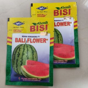 SEMANGKA BALI FLOWER F1